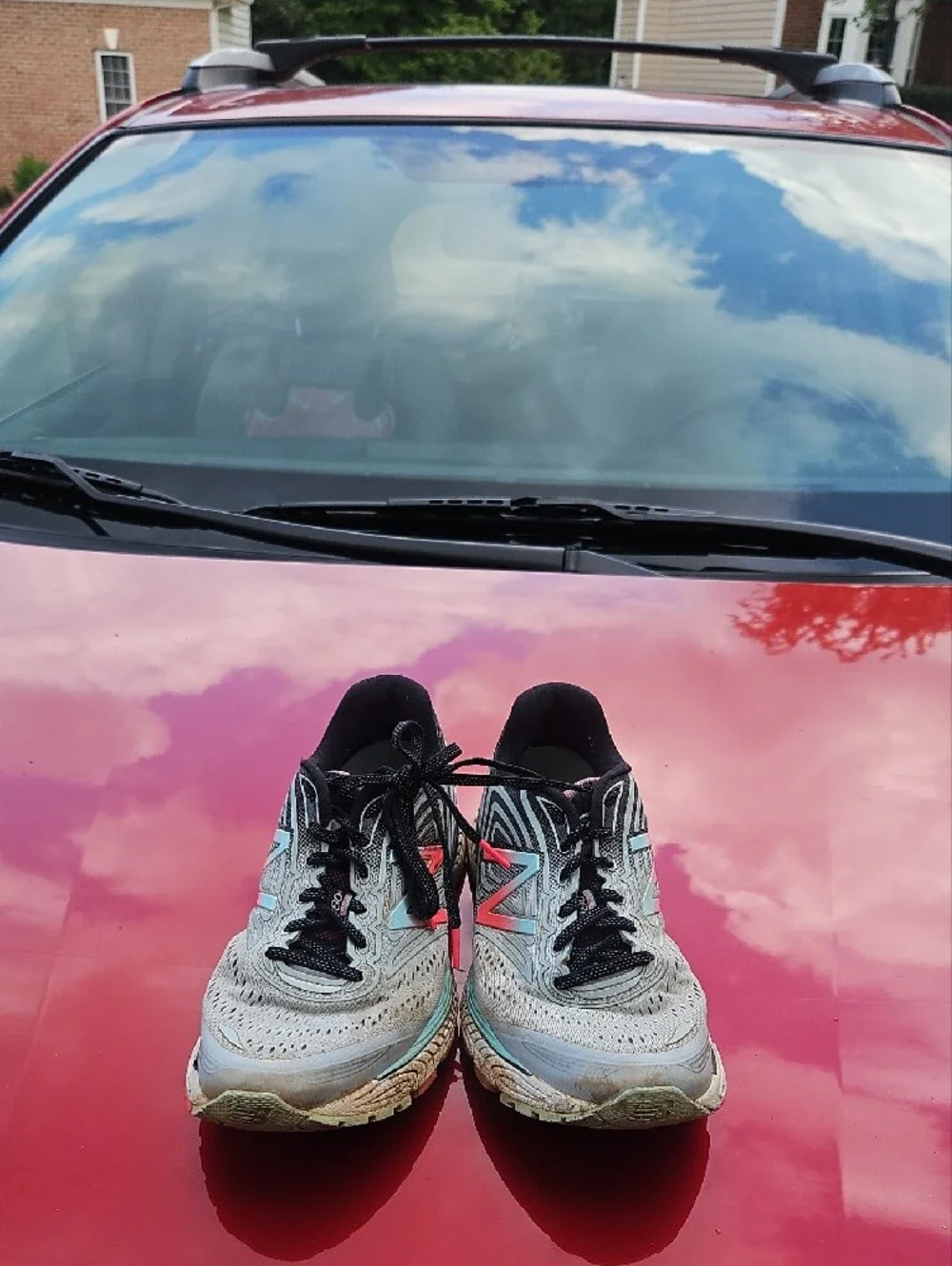 Vehicle Backup Cameras